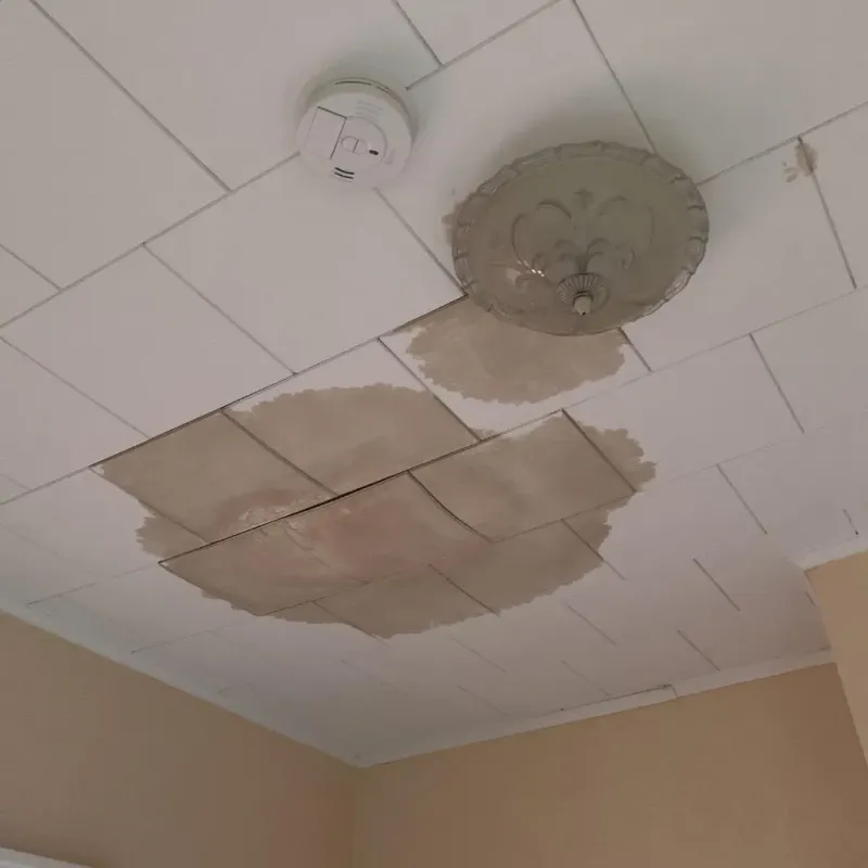 Ceiling Water Damage Repair in Throckmorton County, TX
