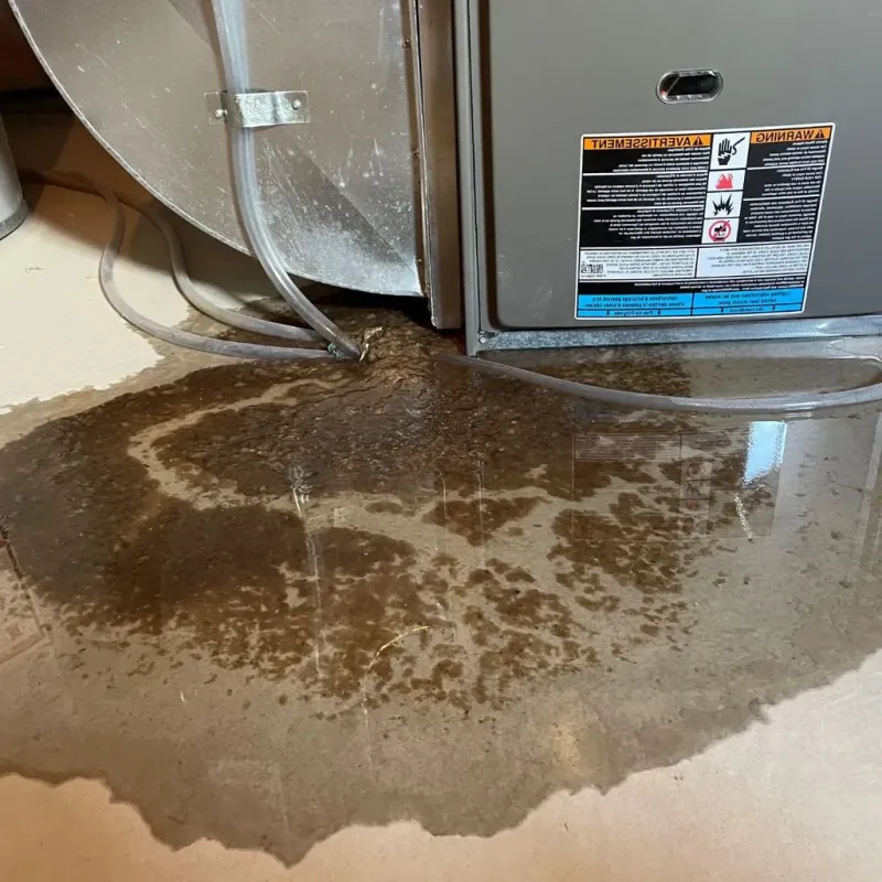 Pipe Burst and Leak Restoration in Throckmorton County, TX