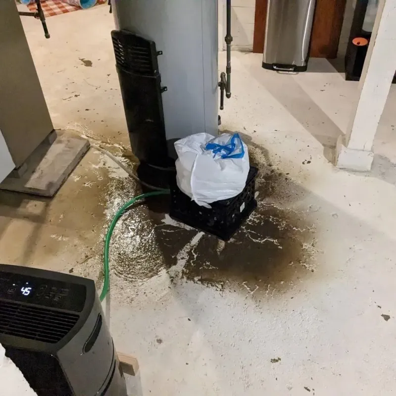 Sewage Backup Cleanup Service in Throckmorton County, TX